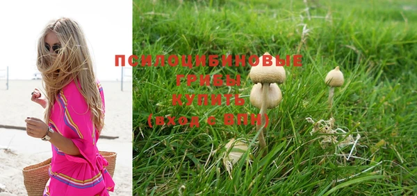 кокаин перу Вяземский