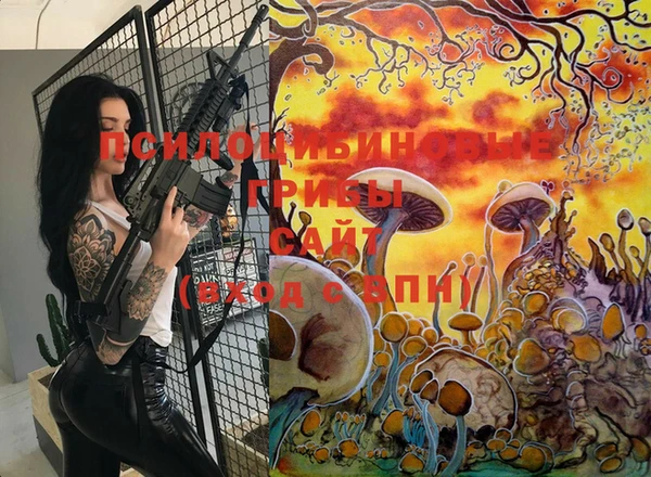 кокаин перу Вяземский