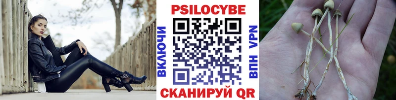 Псилоцибиновые грибы прущие грибы Тара