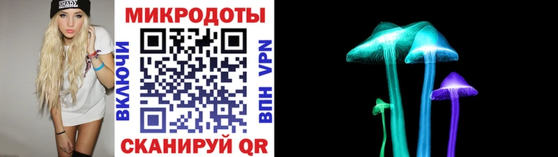 Галлюциногенные грибы прущие грибы  Купить где  Тара 